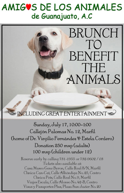 [Image: amig17jul.jpg]